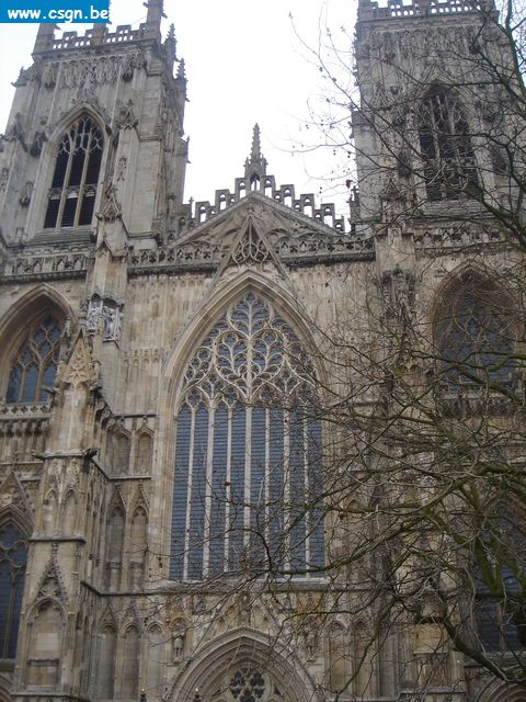 york002.jpg