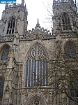 york002.jpg